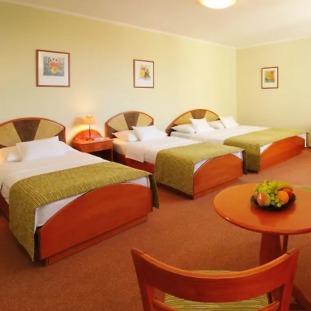 酒店 布达佩斯巴罗斯城市酒店 3*